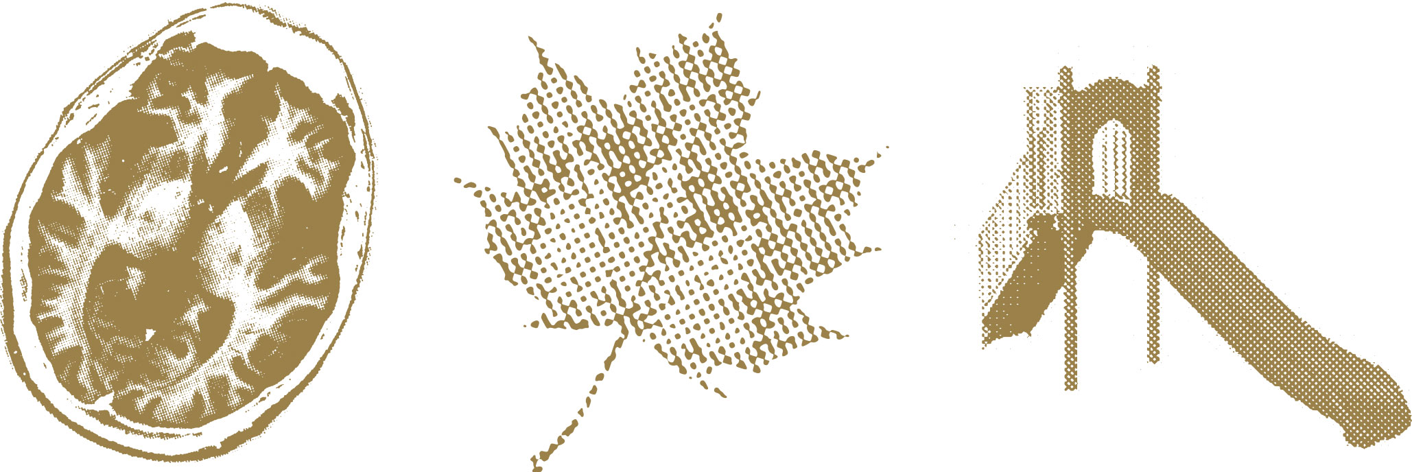 Halftone image of skull cross-section, maple leaf, and playground slide in copper color